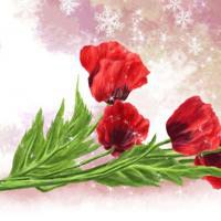 微信头像好看花朵