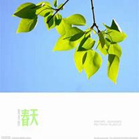 浅绿色头像男