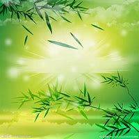绿色衣服森系
