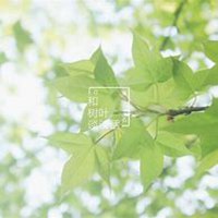 王源绿色头像
