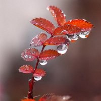绿色脸谱头像