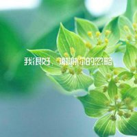 粉色绿色头发
