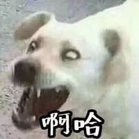 阴阳师创意头像