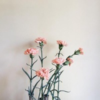 创意头像公式