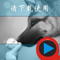 创意大叔头像