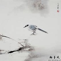 创意头像女简约