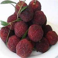 卡通水果头像可爱萌