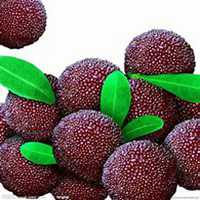 抓着水果头像男生