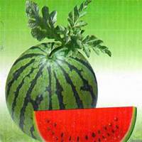 水果清新高清头像大图