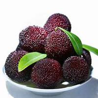 夏天水果美女头像