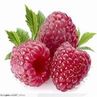 简约小头像水果