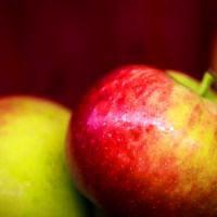 简约白底水果蔬菜头像