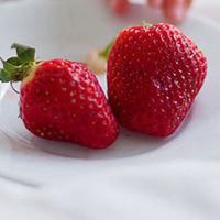 水果荔枝卡通动漫头像