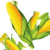 手绘水果头像大图