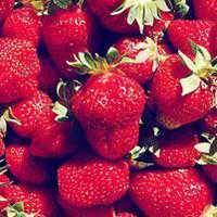 水果葡萄照片头像