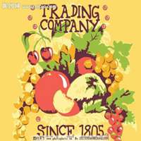 堆糖白底头像水果