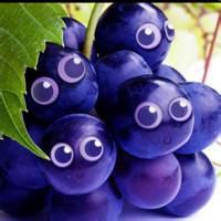 小水果情侣头像卡通