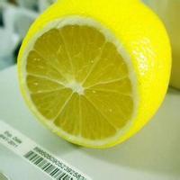 微信用水果做头像性格