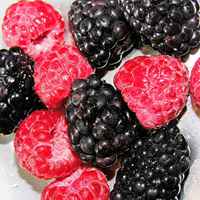 山东水果炒货头像