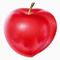 天使水果糖头像