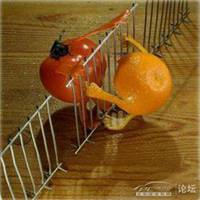 欧美女生拿水果头像