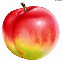 手绘水果头像卡通人物