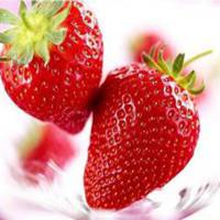 巧克力水果头像