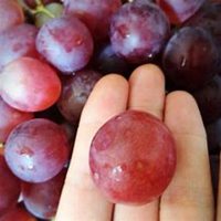 高清水果头像大图