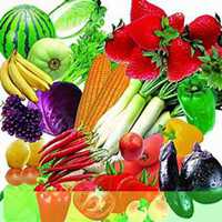 手绘水果头像高清