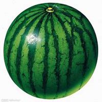 水果清新唯美头像