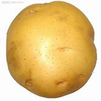 简约白底水果蔬菜头像