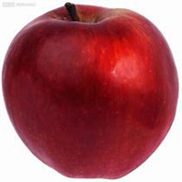 白底方块水果头像