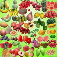 水果清新高清头像