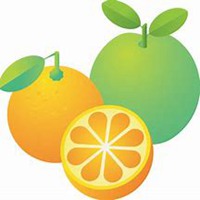 2018水果微信头像