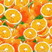 简洁头像白底水果