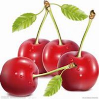 微信水果捞头像