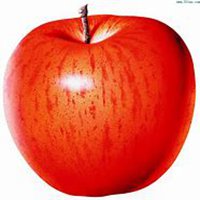 手绘水果头像高清