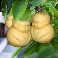 水果男生头像大图高清