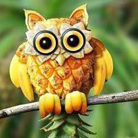 简约白底水果头像素材