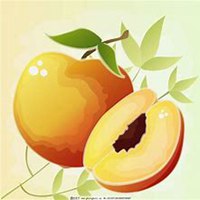 求简约水果微信头像