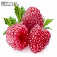 蔬菜水果拼盘成人头像