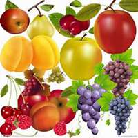 水果清新高清头像