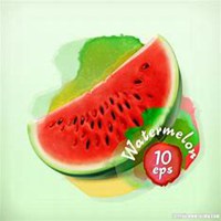 白底小水果小图案头像