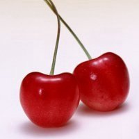 白底中间小水果头像