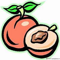 夏日清新水果头像