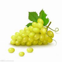 适合做头像水果图库