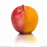 适合作头像水果