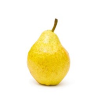 山东水果炒货头像