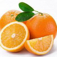 手绘水果头像卡通人物