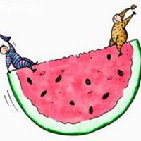 微信白底小头像水果